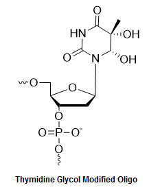 Bio-Synthesis Inc. Oligo Structure